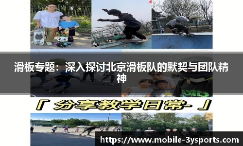 三亿体育官方网站